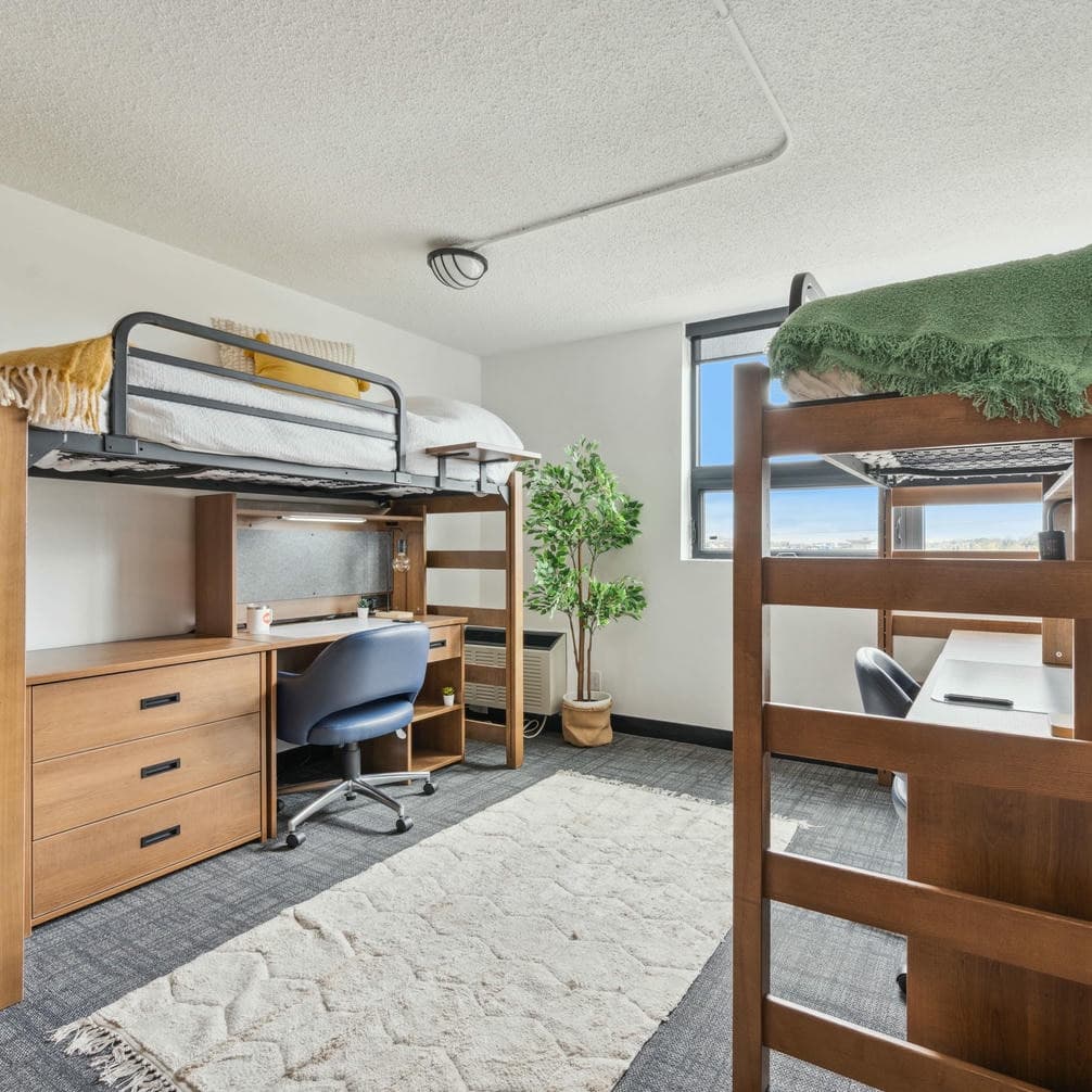 Roomies (Loft Beds)